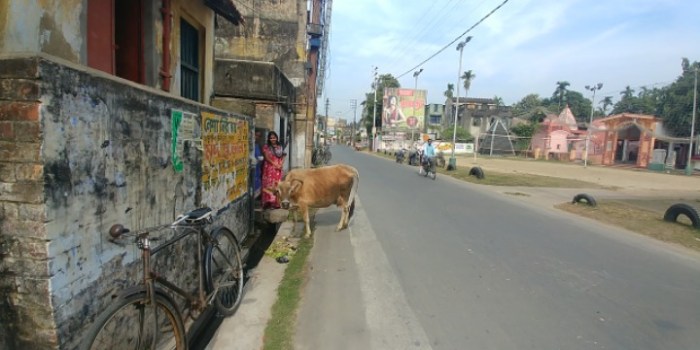 resized_20171206_212247_-1916685931