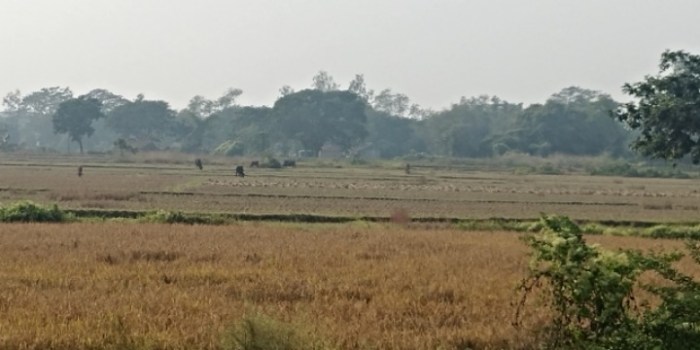 resized_20171208_024540_-427797763