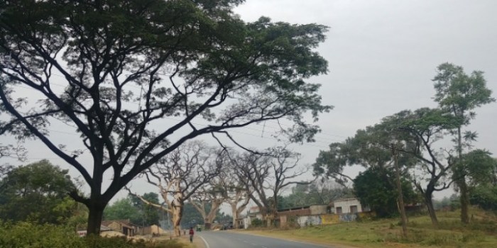 resized_20171208_193123_-1626041207