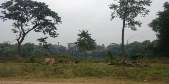 resized_20171208_193123_-712366929