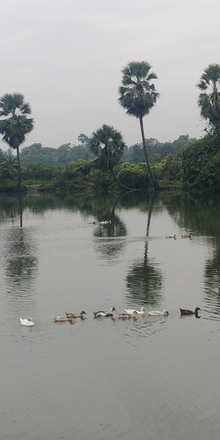 resized_20171208_193123_1191196381