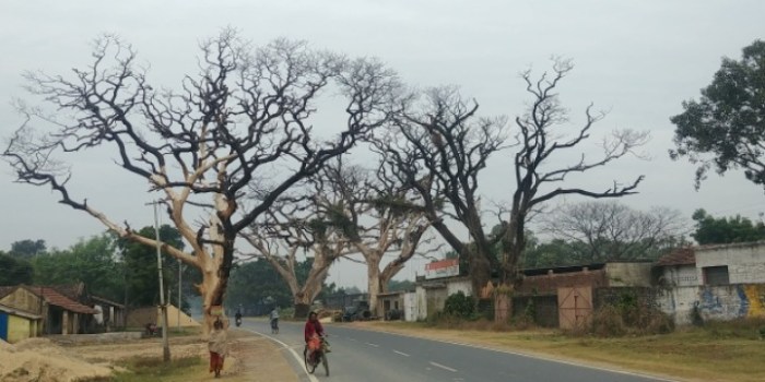 resized_20171208_193123_357714715