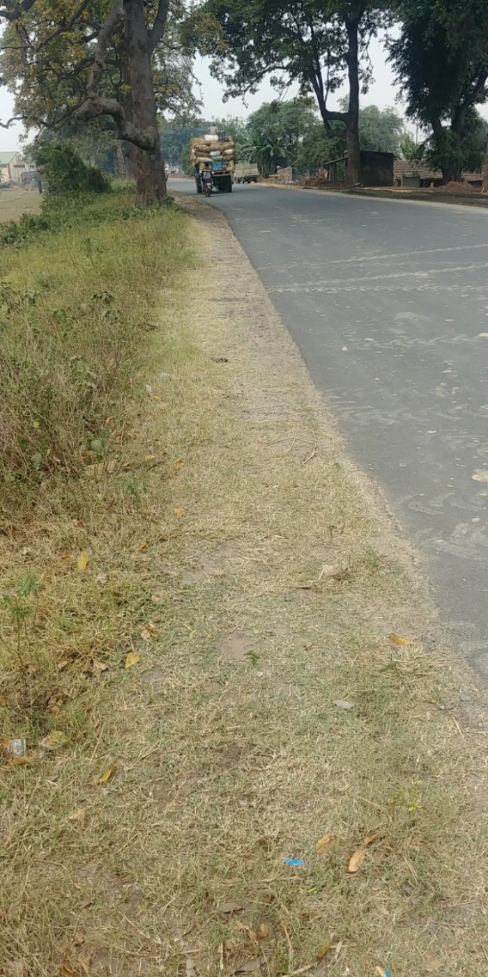 resized_20171208_193124_1056919650