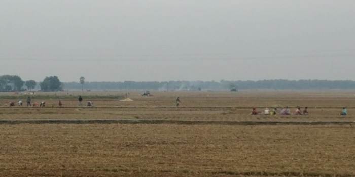 resized_20171208_193124_885079072