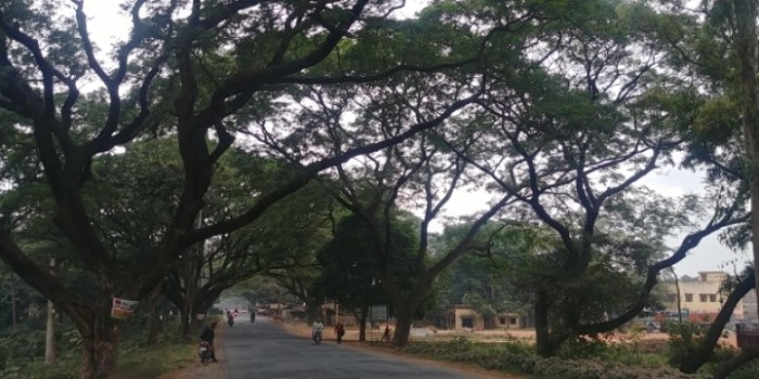 resized_20171208_193125_-1452529216