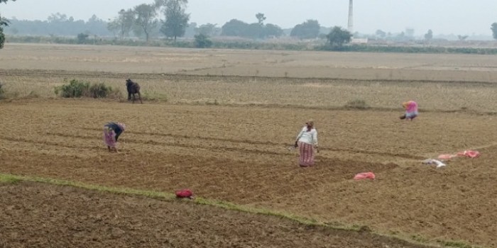 resized_20171208_193125_-1730319061