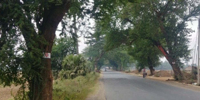 resized_20171208_193125_-286837807