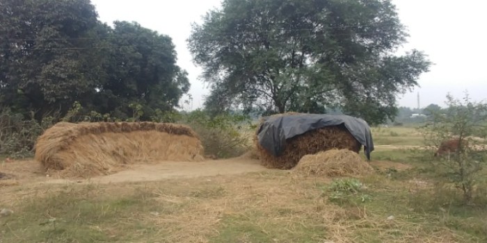 resized_20171208_193125_1672324292