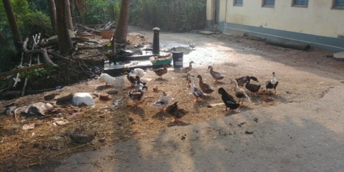 resized_20171212_191634_-1438332342