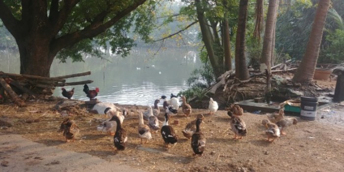 resized_20171212_191634_2102708782