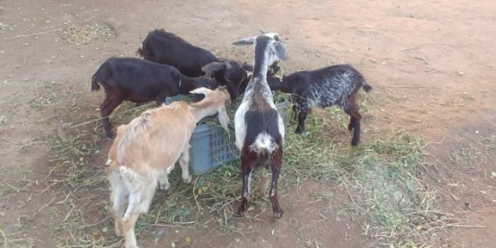 resized_20171212_191636_-1116709753