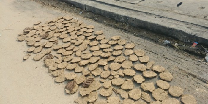 resized_20171212_191636_-1568717802