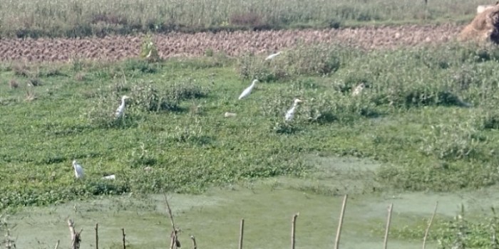 resized_20171214_165312_-1795909546