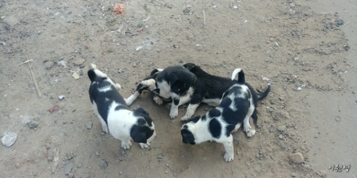 resized_20171216_053951_-688029818