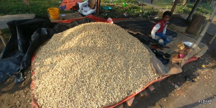 resized_20171217_200131_1349153528