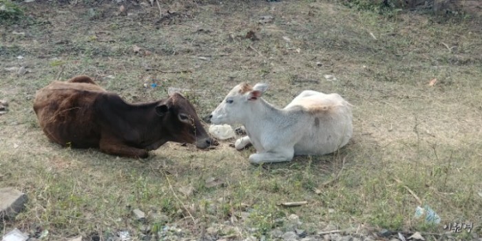 resized_20171220_095404_-382254956