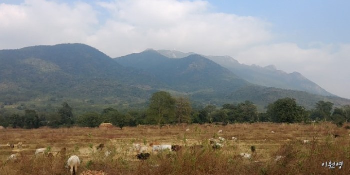 resized_20171221_121738_755976308