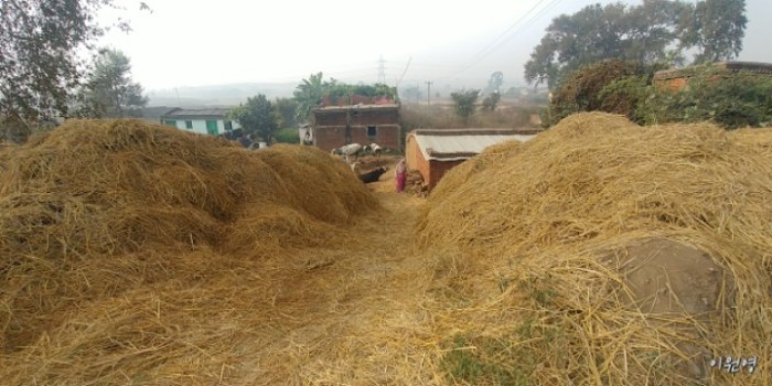 resized_20171223_072217_-942165912