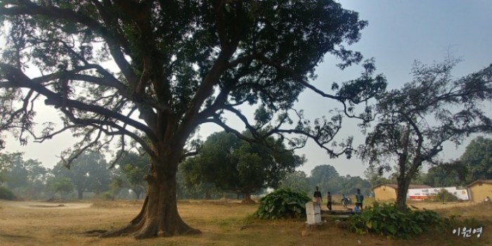 resized_20171223_072217_793504416