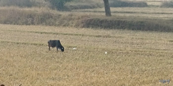 resized_20171223_072218_-865499000