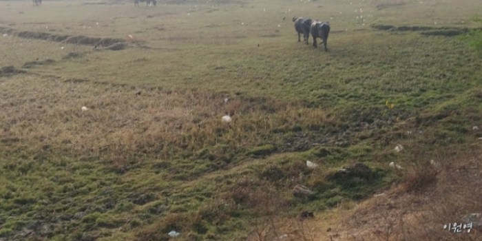 resized_20171223_072218_-876138308