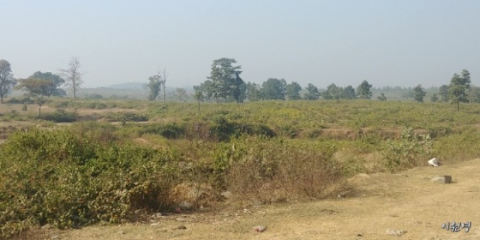 resized_20171224_012816_-1634533723