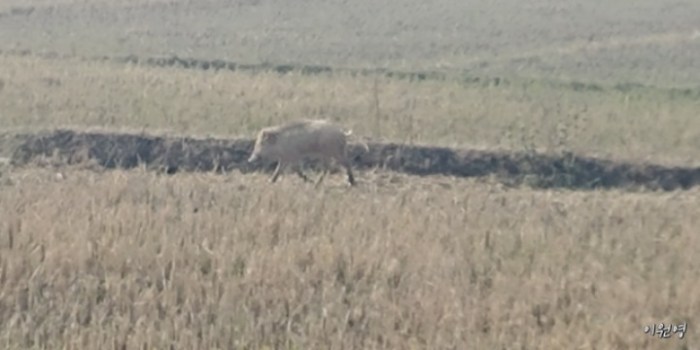 resized_20171224_012816_-1659240051