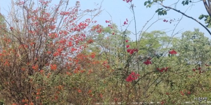 resized_20171224_012816_1185615153