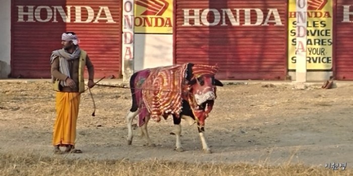 resized_20171224_012818_-1748188442