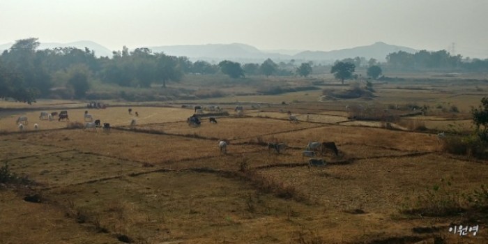 resized_20171224_012818_-681396484