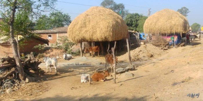 resized_20171225_035758_-1992716896