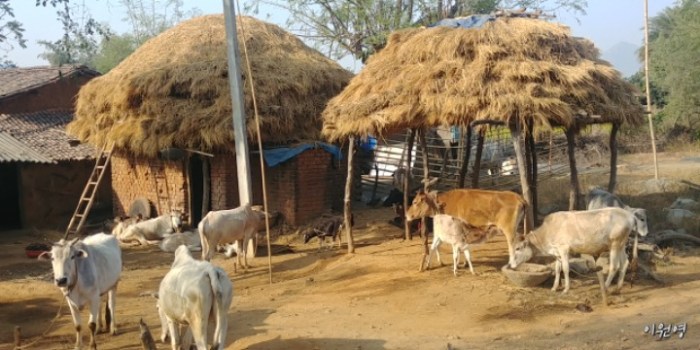 resized_20171225_035759_-406025212