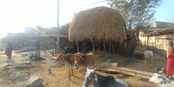 resized_20171225_035759_1618544581