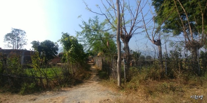 resized_20171225_035759_1874125835