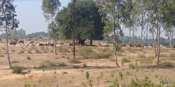 resized_20171225_035800_15954929