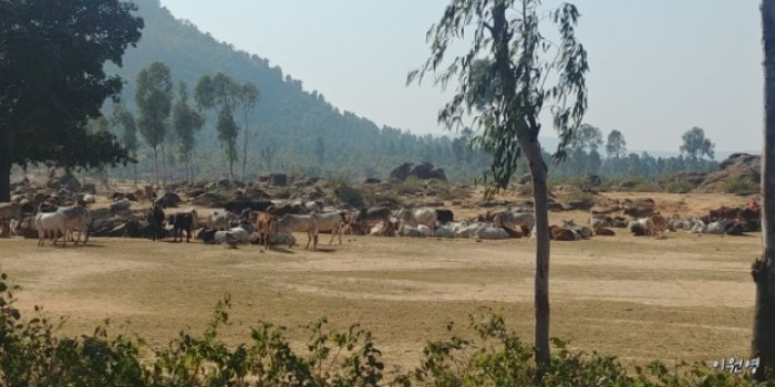 resized_20171225_035800_551636800