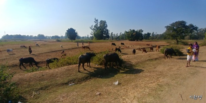 resized_20171225_035801_-1905940489