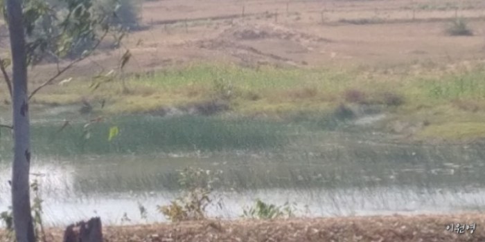 resized_20171225_035801_-929217923