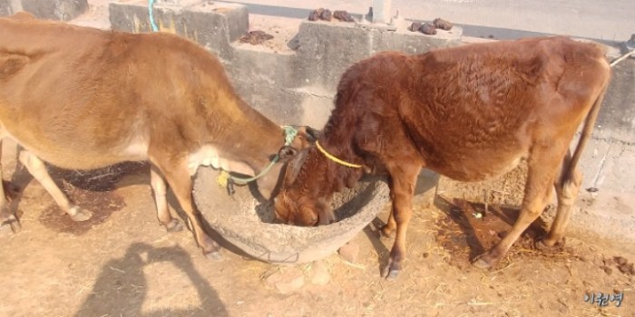 resized_20171227_200738_-1528523351