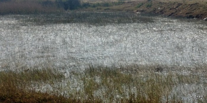 resized_20171227_200738_-915261451