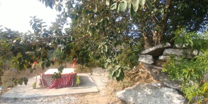 resized_20171228_060054_-756105860