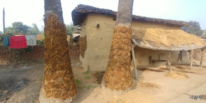 resized_20171229_010710_-1102854003