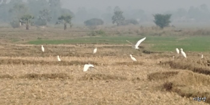 resized_20171229_010710_-1144026412