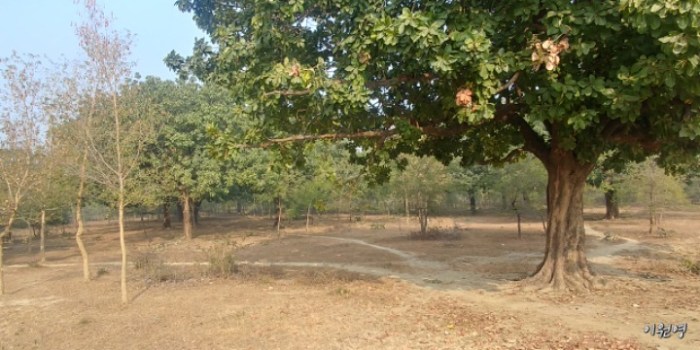 resized_20171229_010710_-1346080600