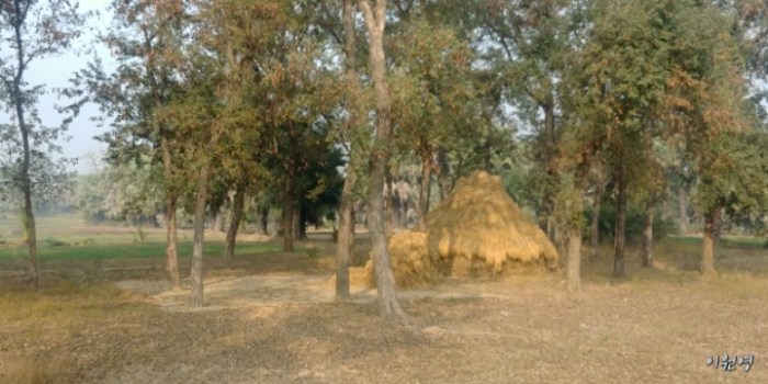 resized_20171229_010710_277568195