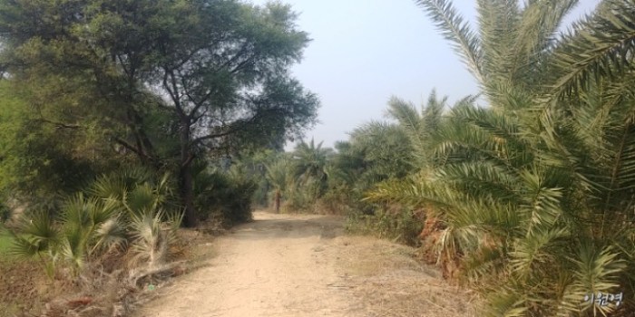 resized_20171229_010711_1636508785