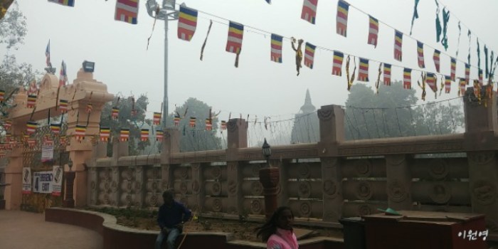 resized_20171231_220013_-1589406737