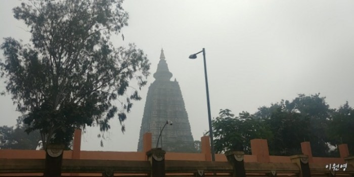 resized_20171231_220014_-484454846