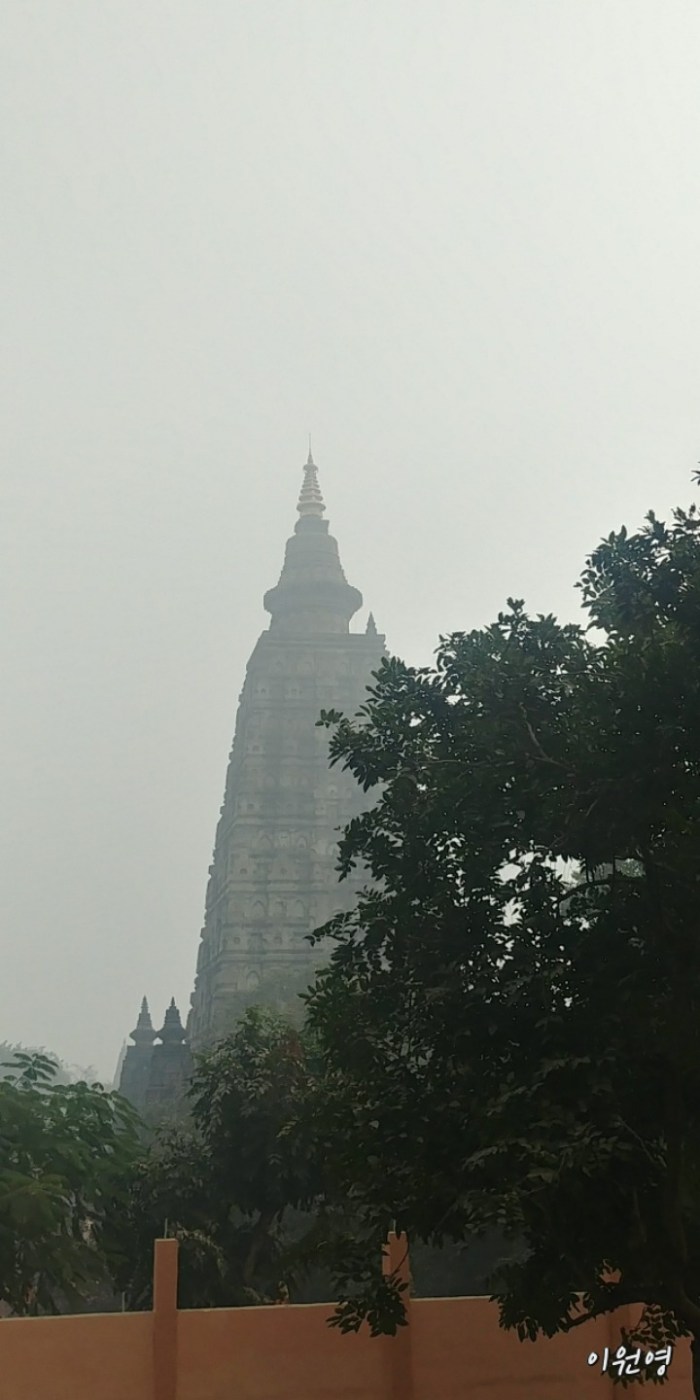 resized_20171231_220014_1541098002