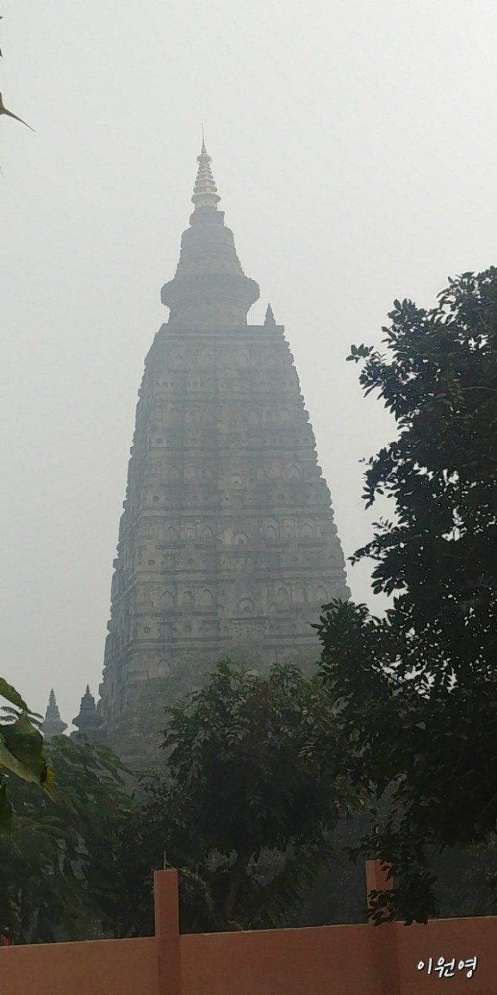 resized_20171231_220014_326899610